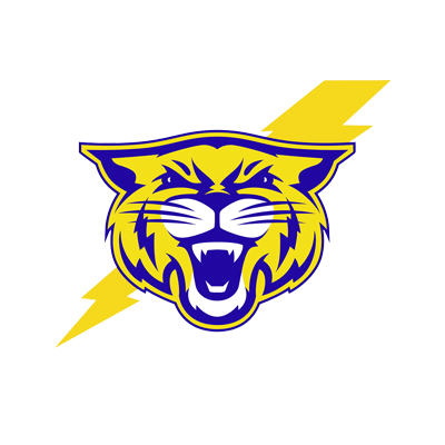 cat head.png