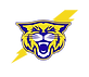 cat head.png