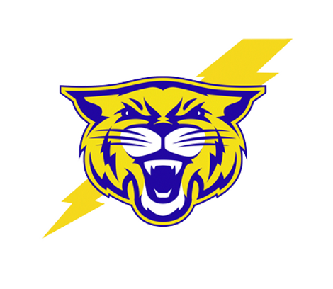 cat head white.png