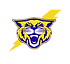 cat head white.png